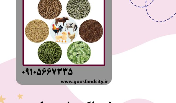 بهترین خوراک دام و طیور