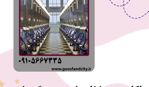 نکات مهم شغل دامپروری گوسفندی