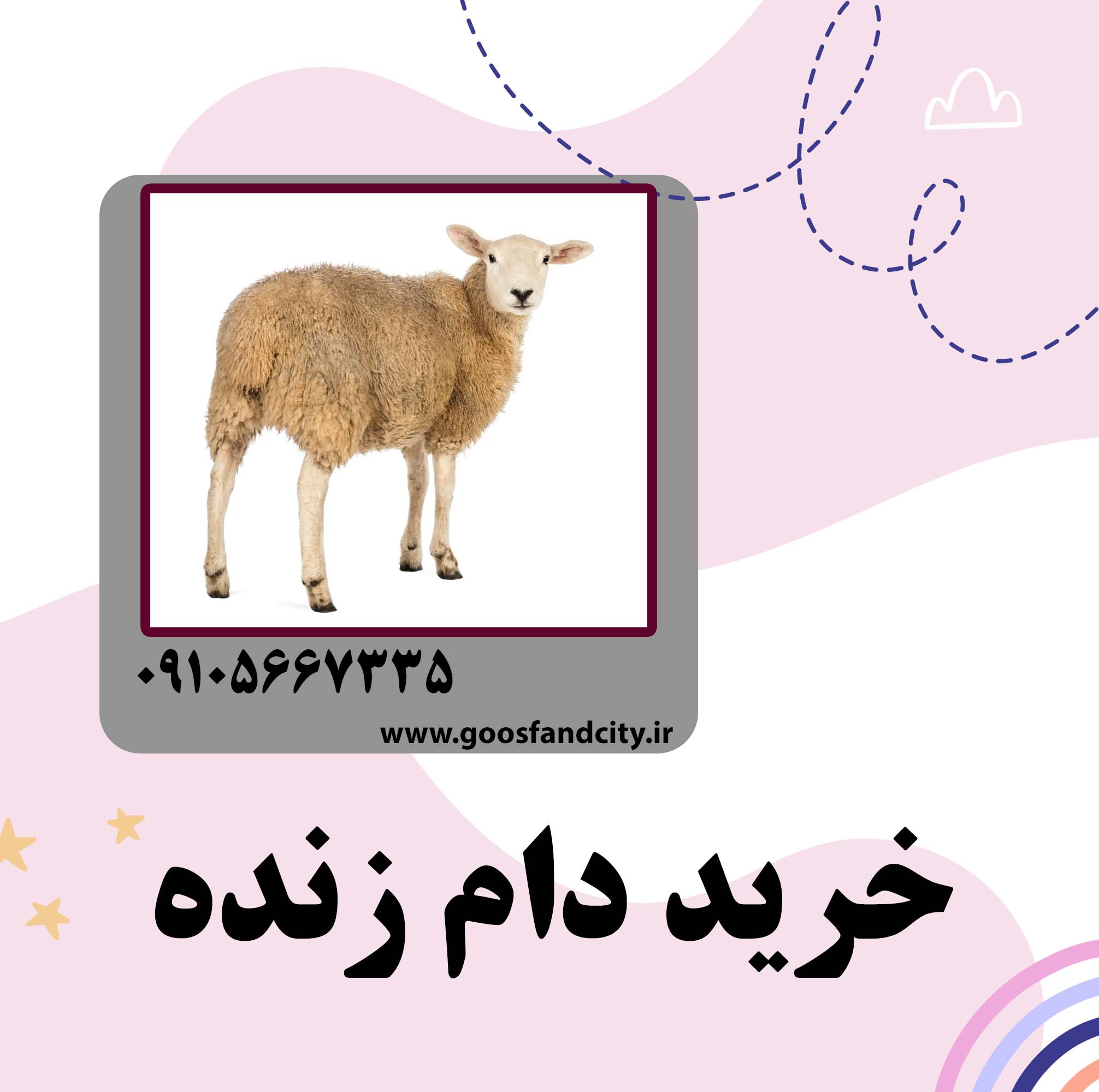 خرید دام زنده