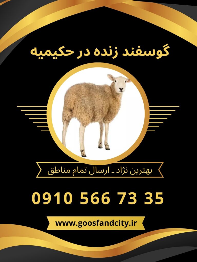 خرید گوسفند زنده در حکیمیه