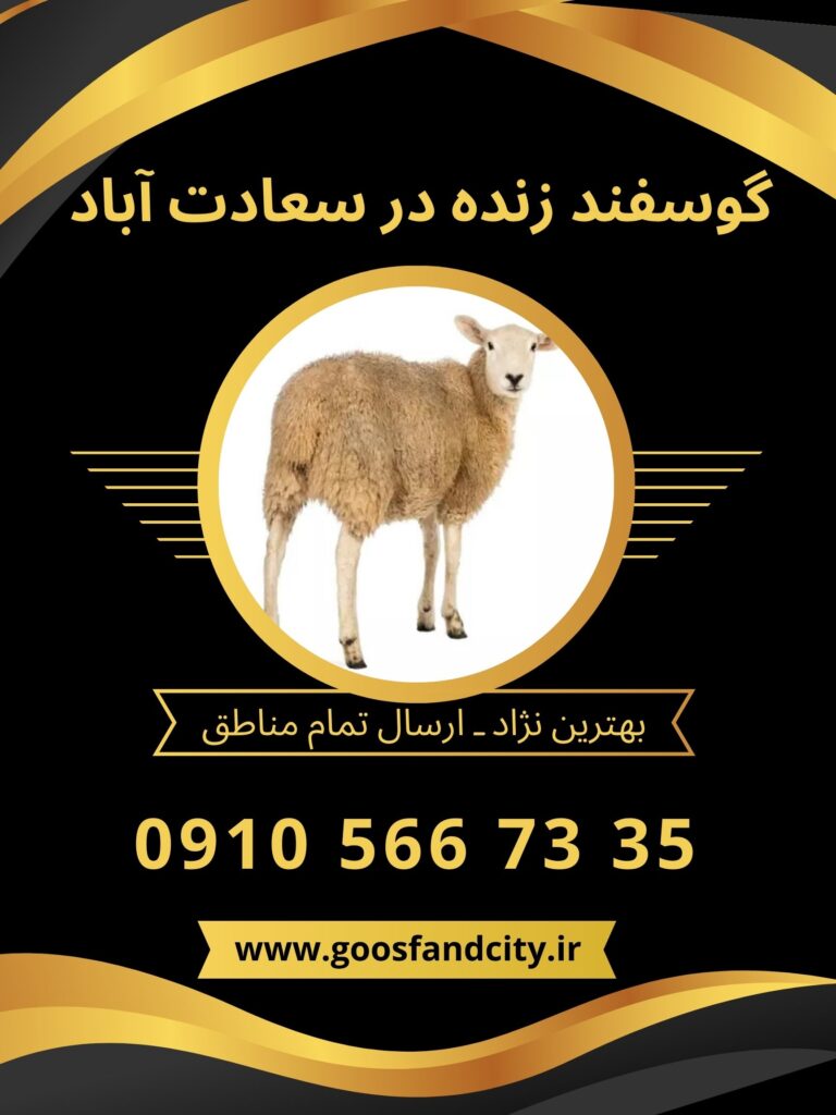 خرید گوسفند زنده در سعادت آباد