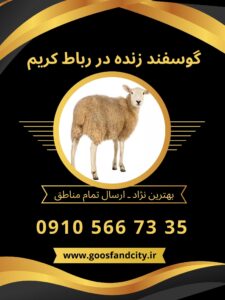 خرید گوسفند زنده در رباط کریم