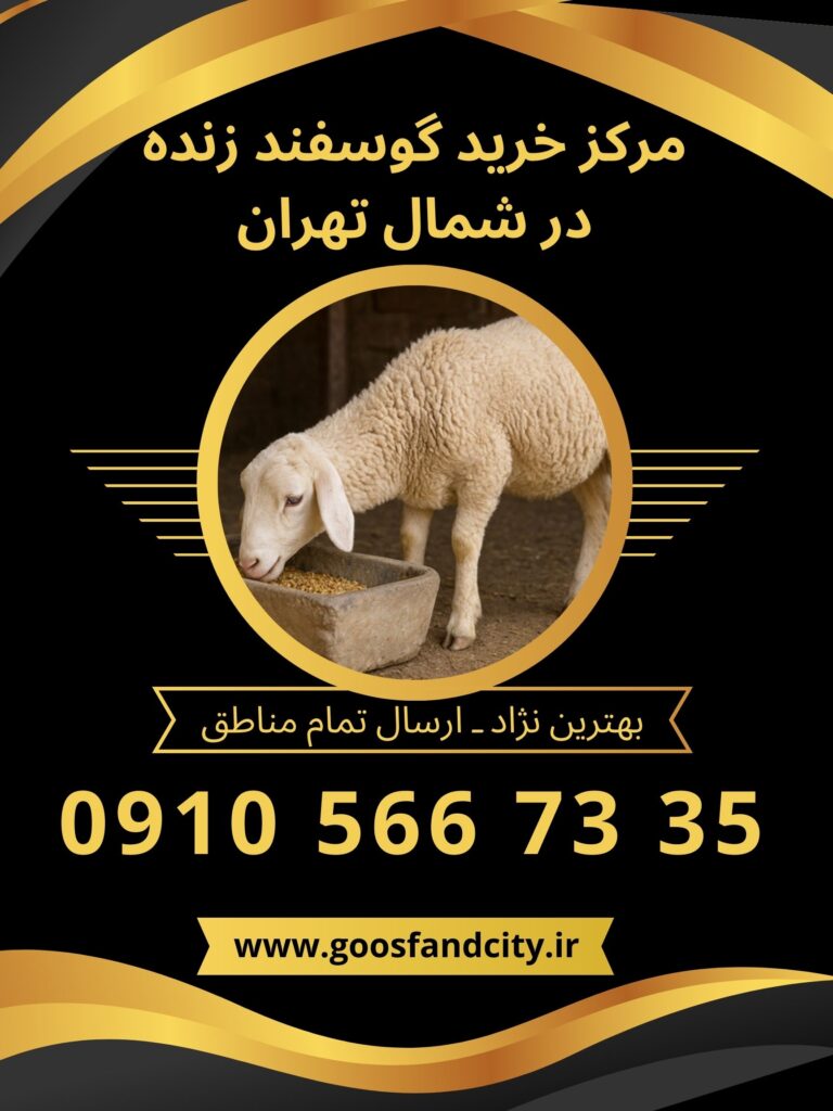 مرکز خرید گوسفند زنده در شمال تهران