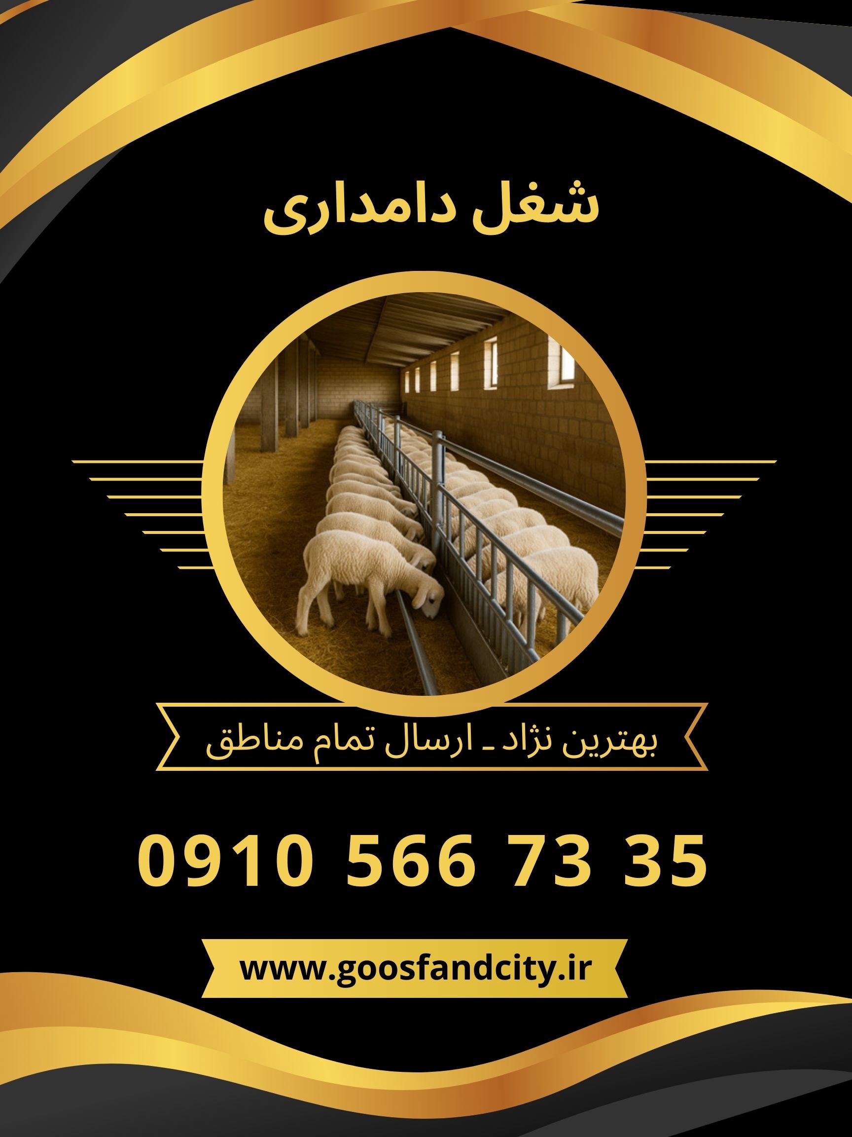 شغل دامداری