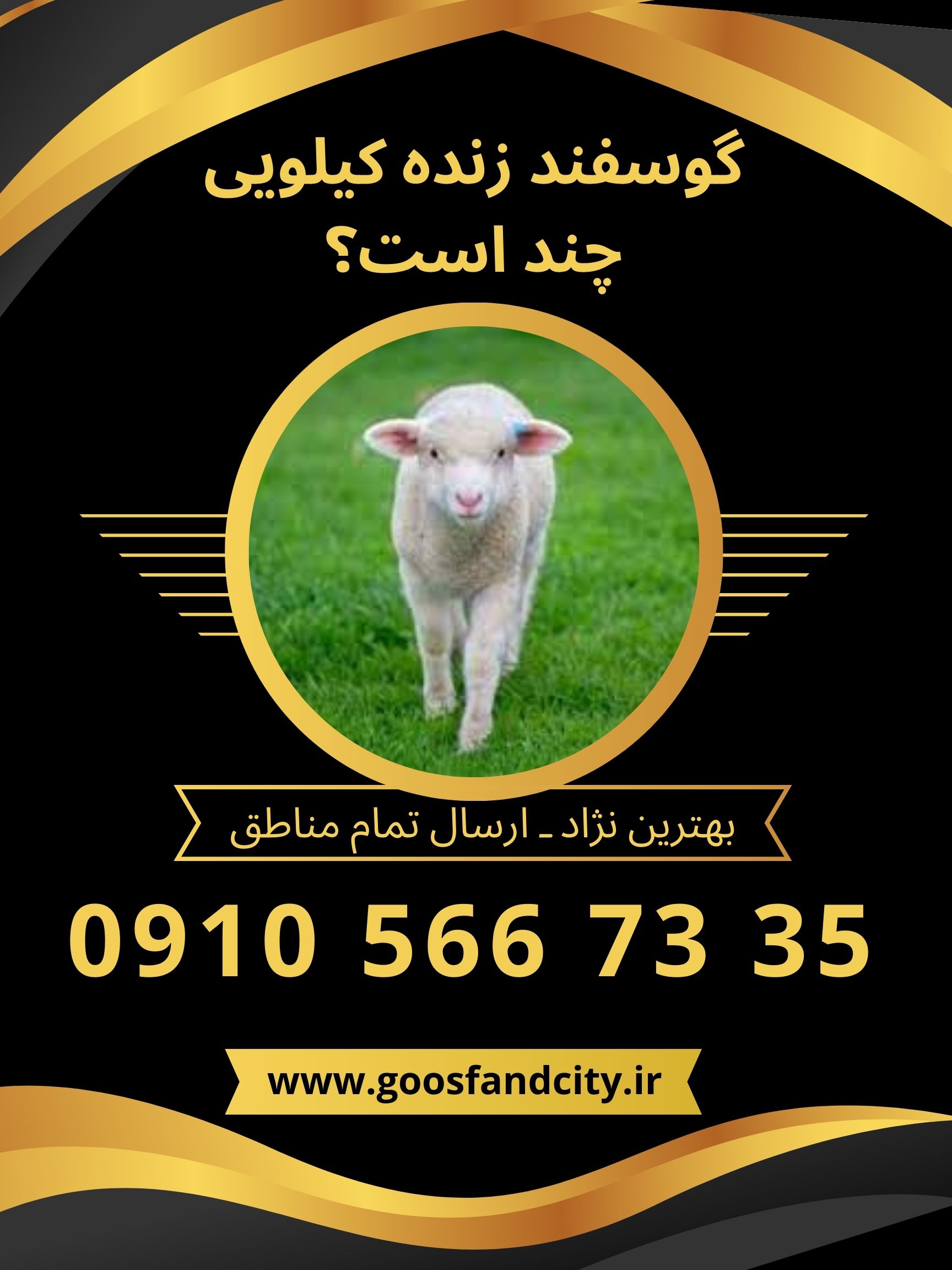 گوسفند زنده کیلویی چند است؟